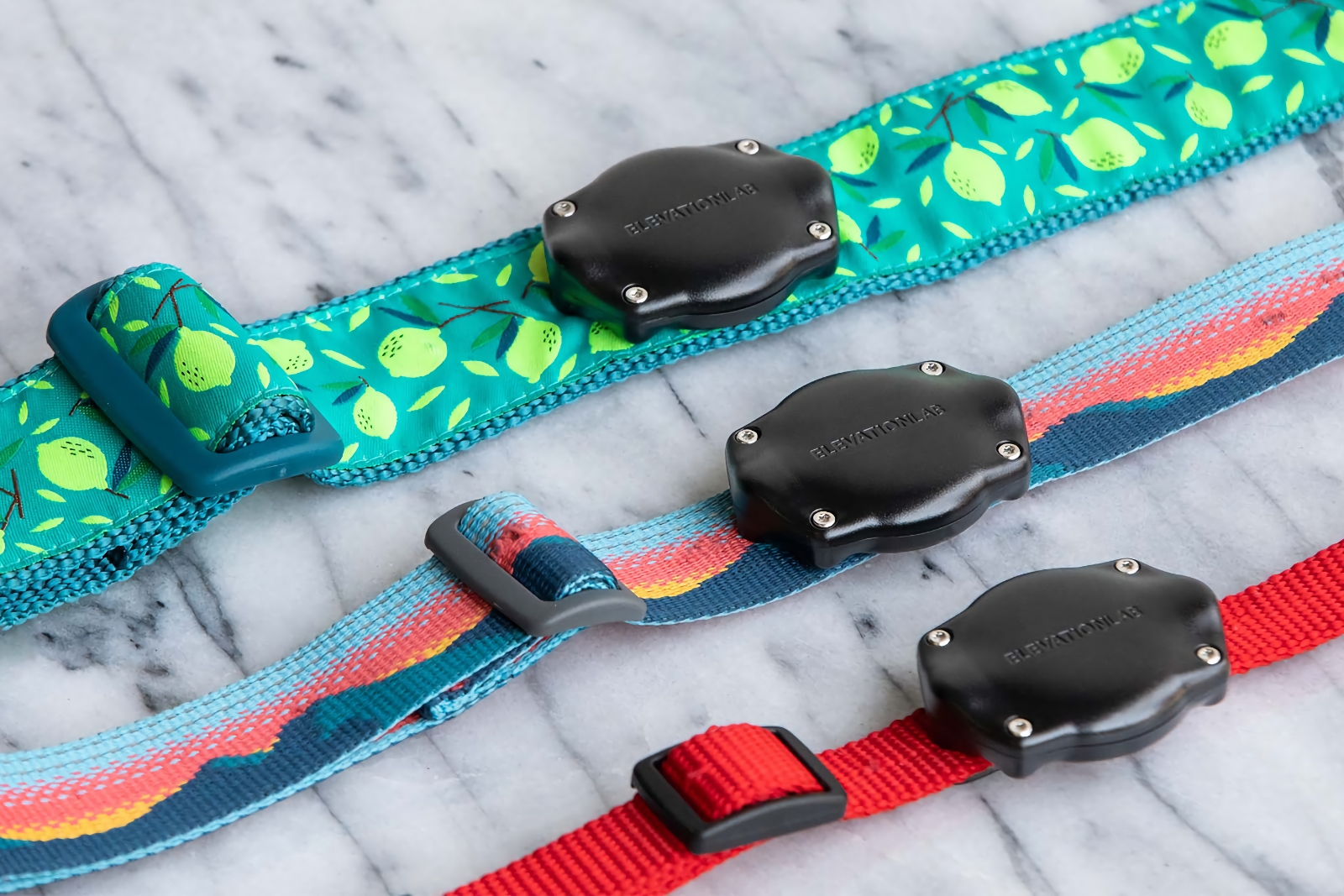 Apple doesn’t want AirTag 2 tracking pets. Why not?