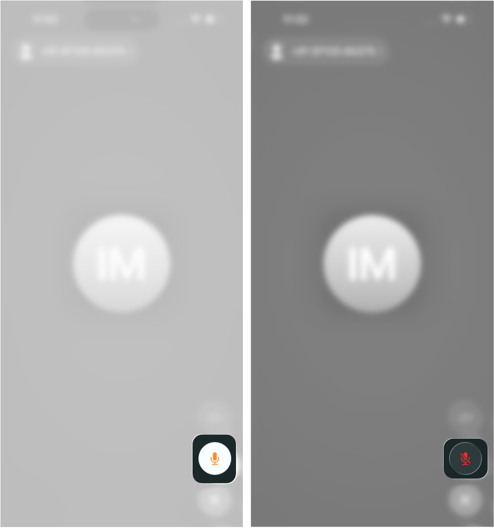 How to Mute Yourself or Others on FaceTime