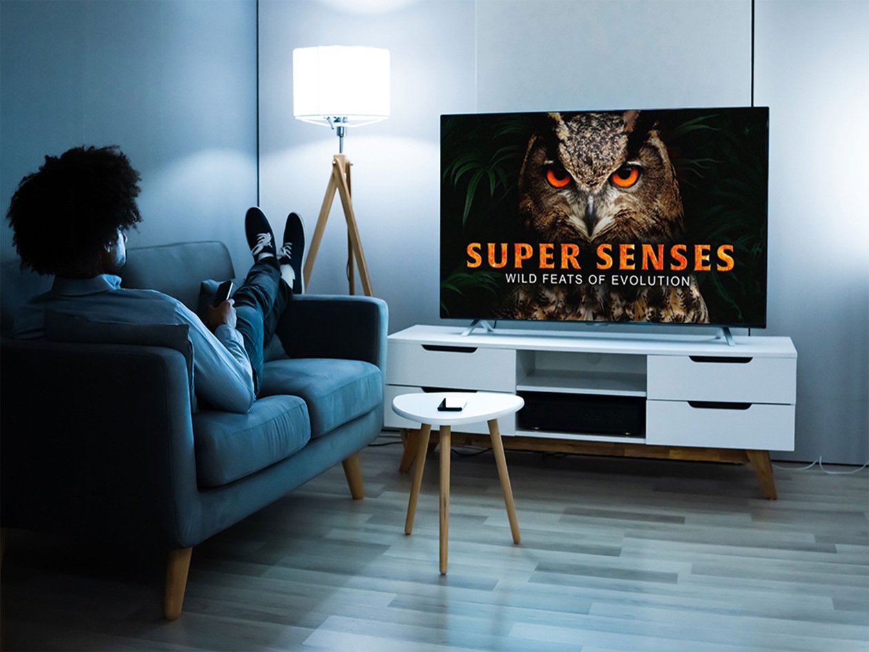 Make your TV time more interesting with this documentary streaming library for a flat $150