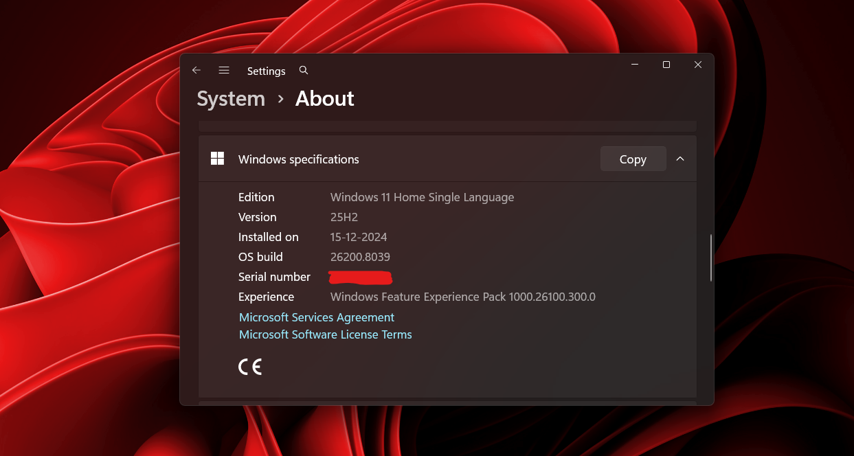Download Windows 11 25H2 ISO (offline installer), and always save a copy